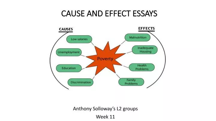 cause and effect essays