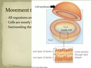movement through cells