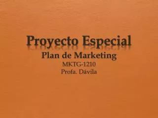 proyecto especial