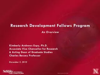 Research Development Fellows Program An Overview