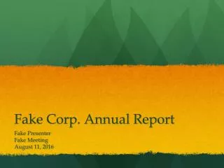 Fake Corp. Annual Report