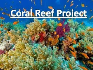 Coral Reef Project