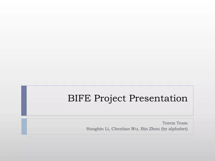 bife project presentation