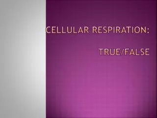 cellular respiration true false