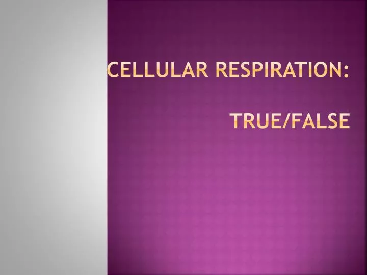 cellular respiration true false