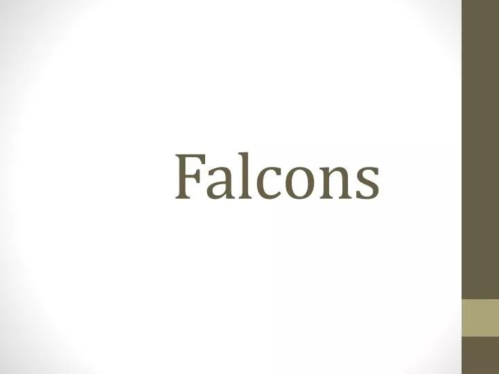 falcons
