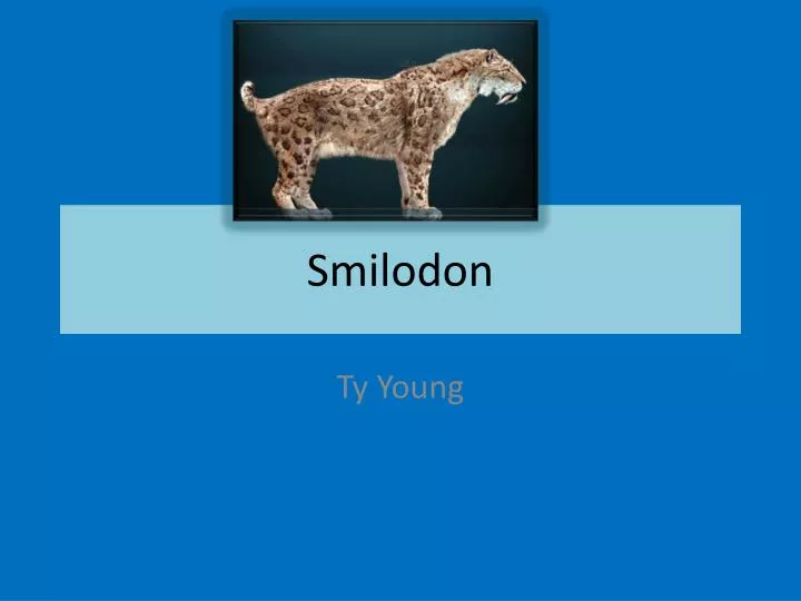 smilodon