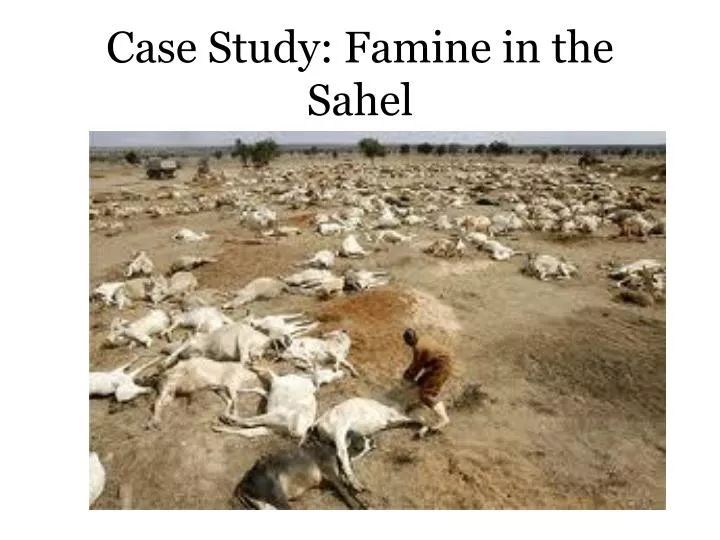 case study famine in the sahel