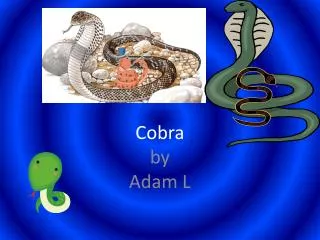 Cobra by Adam L