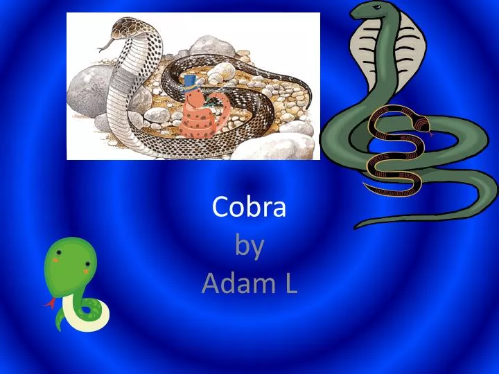 cobra by adam l