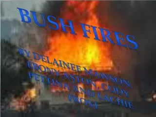 Bush fires