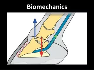 biomechanics