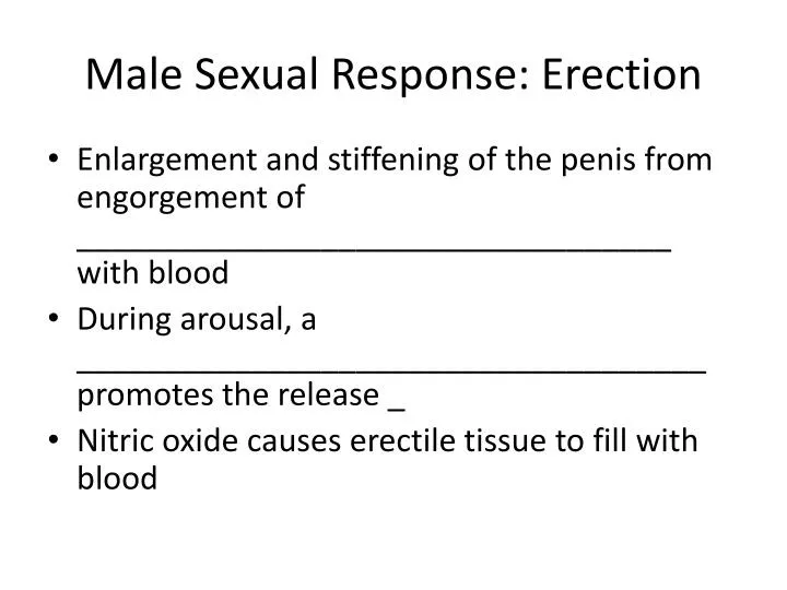 male sexual response erection