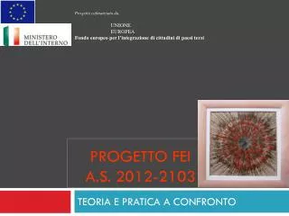 progetto fei a s 2012 2103