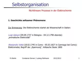 selbstorganisation