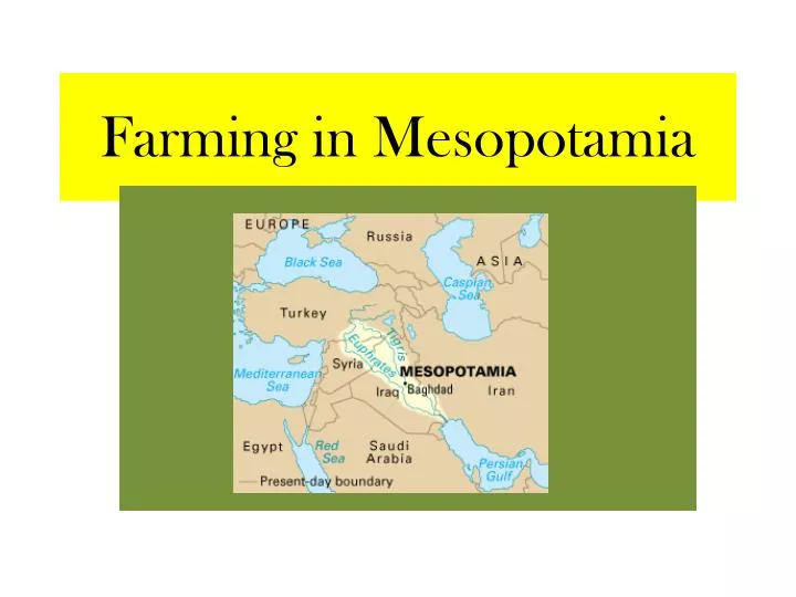 farming in mesopotamia