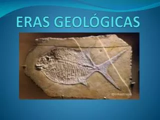 eras geol gicas