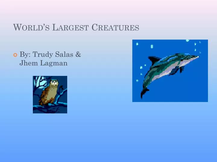 world s largest creatures