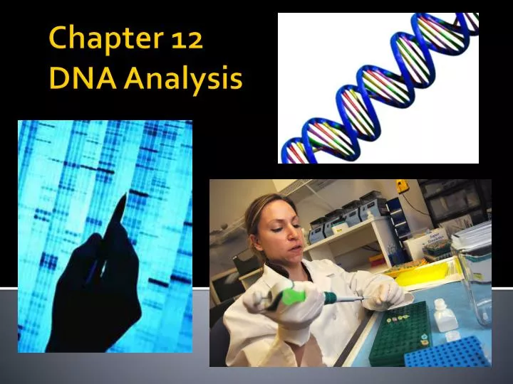 chapter 12 dna analysis