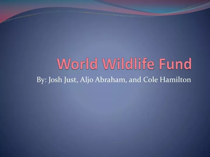 world wildlife fund