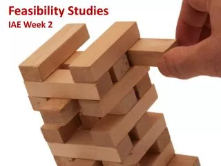 Feasibility Studies IAE Week 2