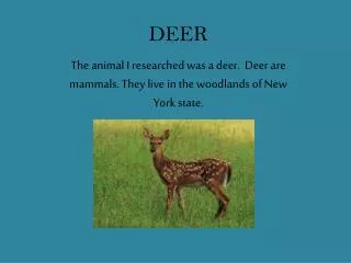 DEER