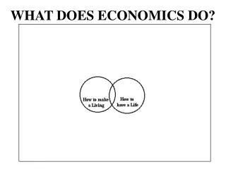 WHAT DOES ECONOMICS DO?