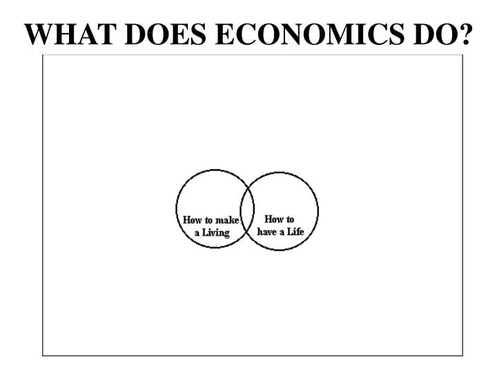 what does economics do