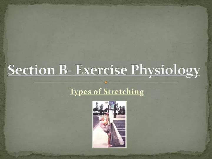 PPT - Section B- Exercise Physiology PowerPoint Presentation, Free ...