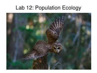 Lab 12: Population Ecology