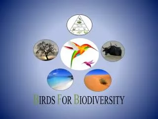 B IRDS F OR B IODIVERSITY