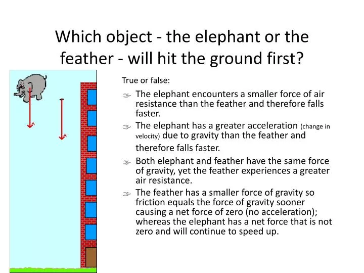 which object the elephant or the feather will hit the ground first