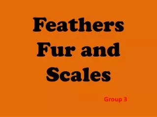 Feathers Fur and Scales