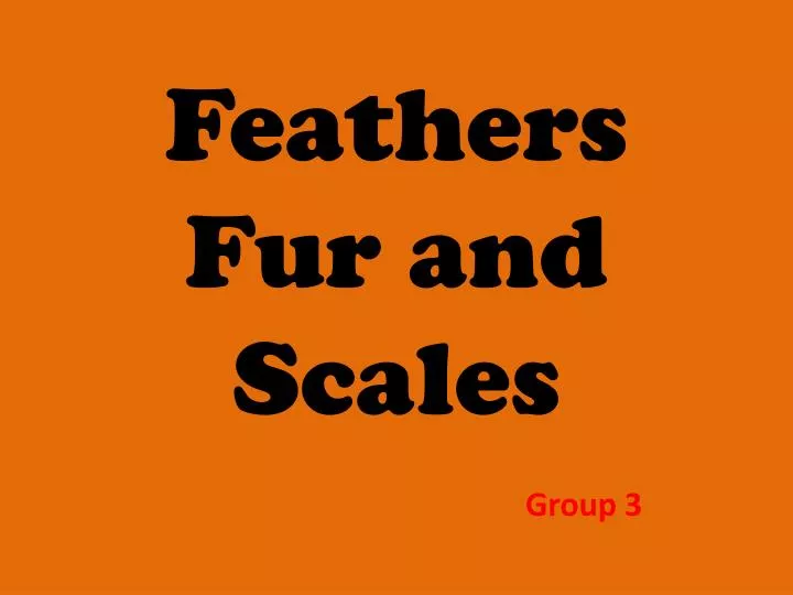 feathers fur and scales