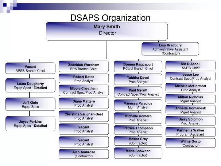 dsaps organization
