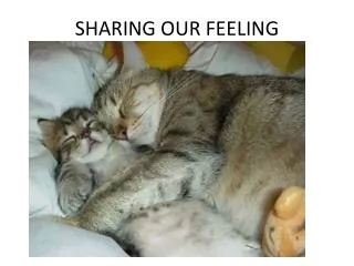 SHARING OUR FEELING