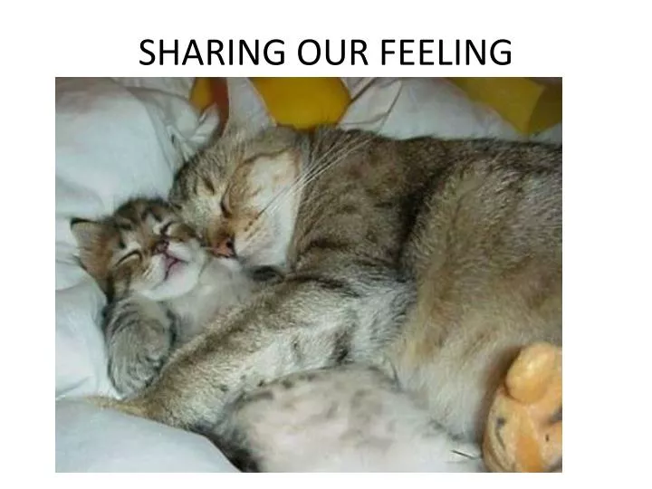 sharing our feeling
