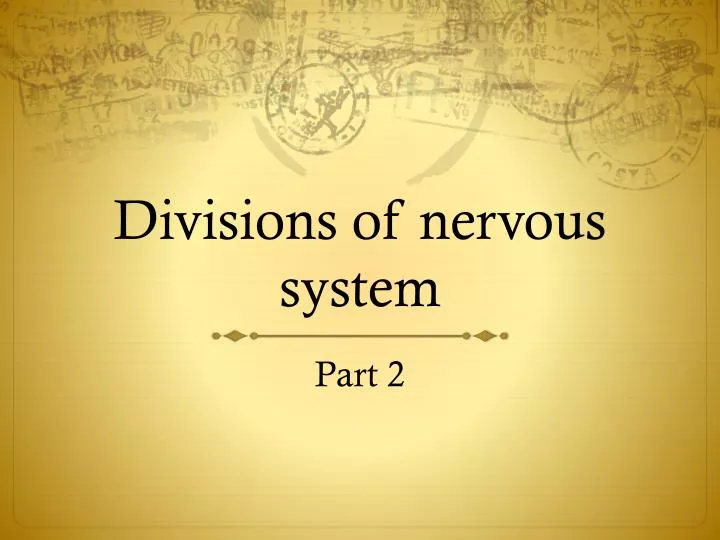 divisions of nervous system