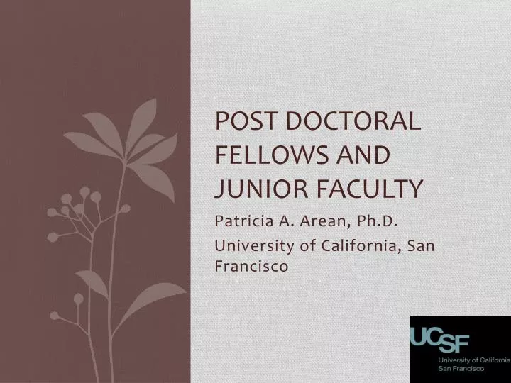 post doctoral fellows and junior faculty