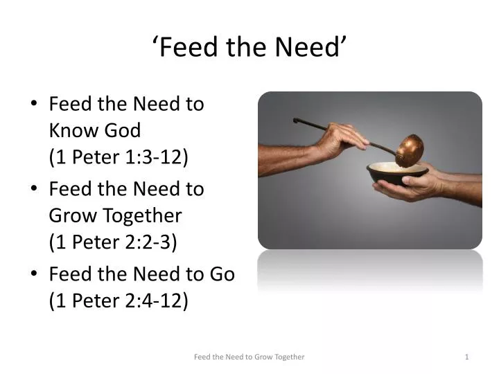 feed the need