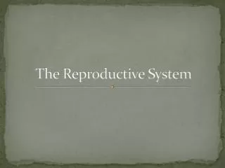 The Reproductive System