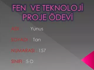 fen ve teknoloj proje dev