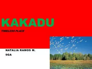 Kakadu timeless place