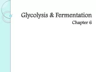 Glycolysis &amp; Fermentation