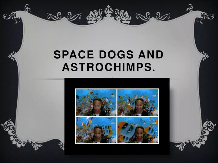 space dogs and astrochimps