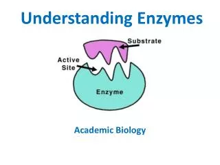 Understanding Enzymes
