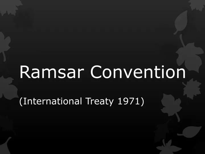 ramsar convention international treaty 1971