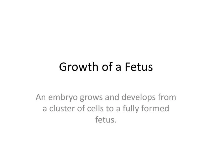growth of a fetus