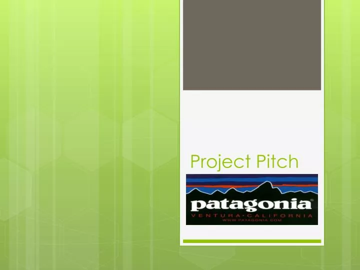 project pitch