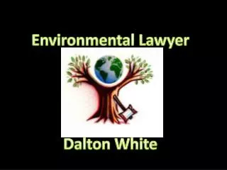 Environmental Lawyer